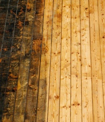 JAF Akcja renowacja (7)