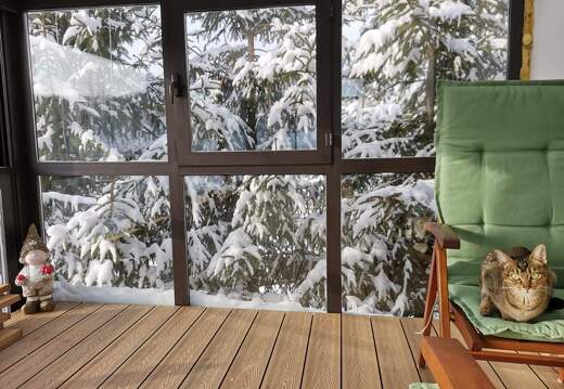 JAF PL Zima sie planuje (1)